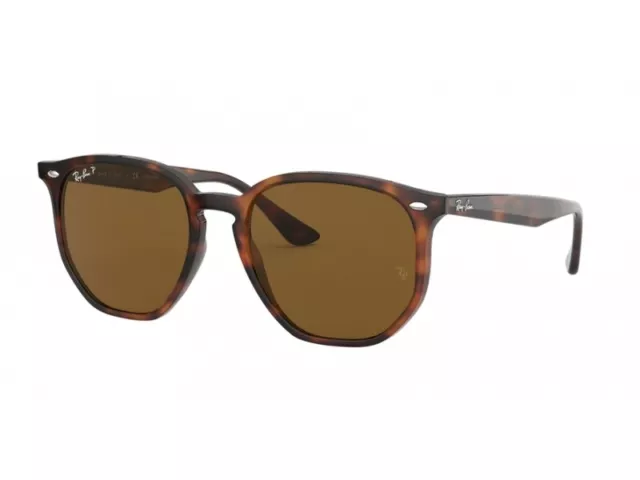 Ray-Ban Sunglasses RB4306  710/83 havana polar brown