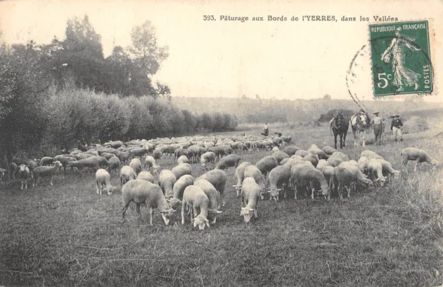 Cpa 91 Grazing At The Edges Of Yerres In The Valleys / Shepherd / Sheep
