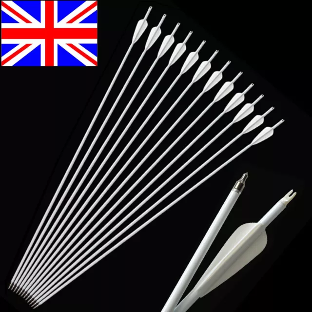 12X 30" Archery Carbon Arrows SP500 Vanes Compound Recurve Bow Target Hunting