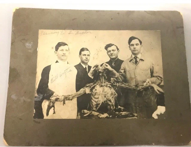 Cabinet Card cadaver held by DOCTORS skeleton post mortem DISECTED~NAME~ANTIQUE