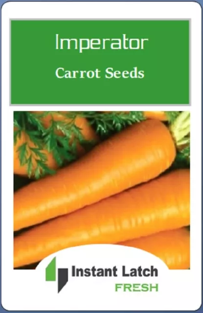 Imperator Carrot Seeds | NON-GMO | Heirloom | Fresh Garden Seeds 2