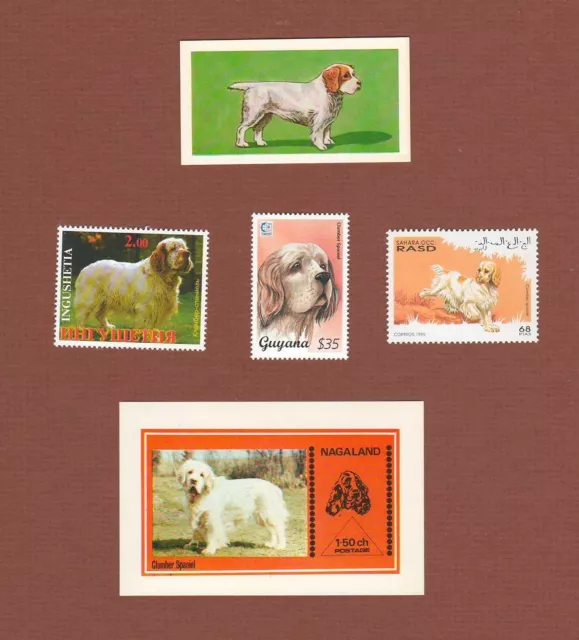 Clumber Spaniel dog postage stamps MNH and trade card set of 5