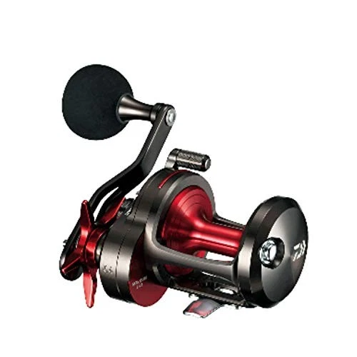 DAIWA - ヨ様 Amazon.com : Daiwa Genpau Ishidai Light 20H, 2018 Model