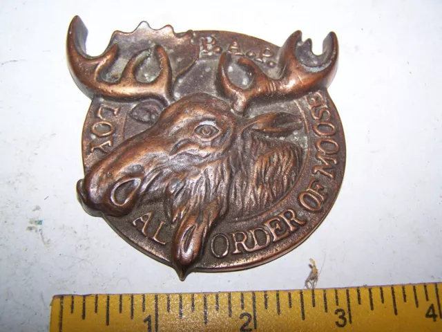 Loyal Order of Moose Decoration Plaque Award or belt buckle???