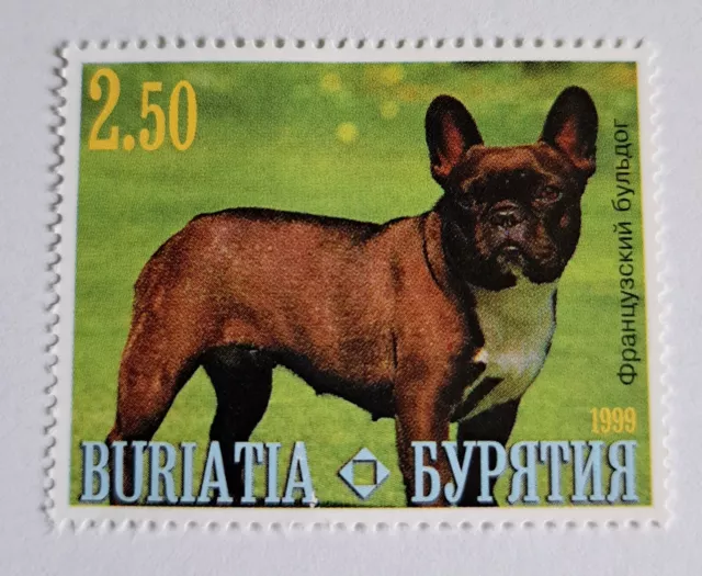 Briefmarke Französische Bulldogge, Russ. Rep. Buratia 1999, ungestempelt, Bully