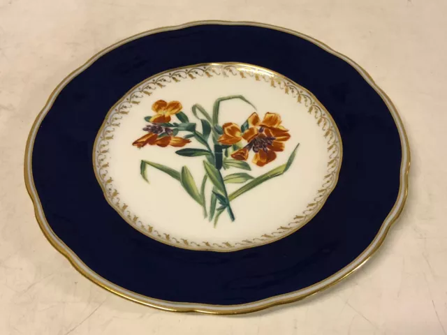 1847-1867 Hand Painted Copeland English Spode Botanical Cabinet Plate #2