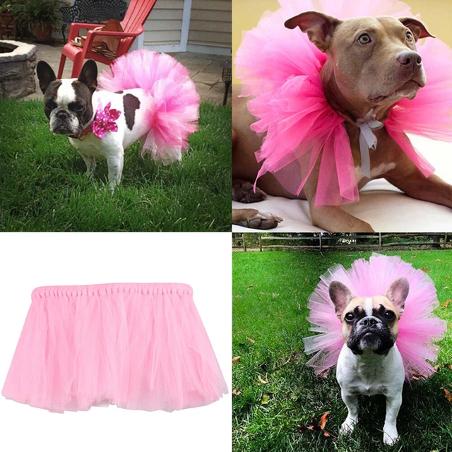Abito da sposa principessa pet cat sweet dog mesh abito fisso pet tutù