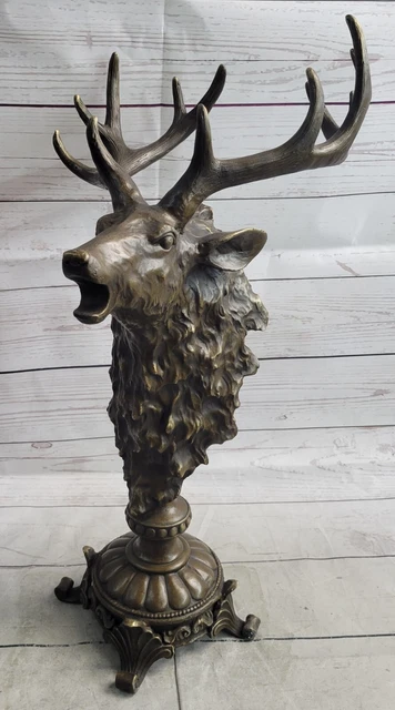 Bois De Cerf 12 Corps – Grande Taille Trophée