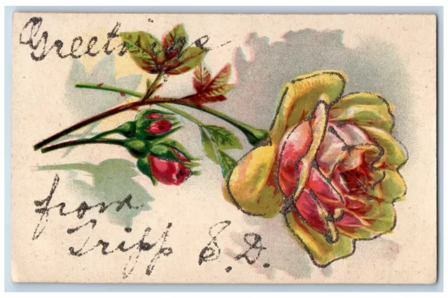 Tripp South Dakota Postcard Greetings Flowers Rose Glitter 1910 Vintage Antique