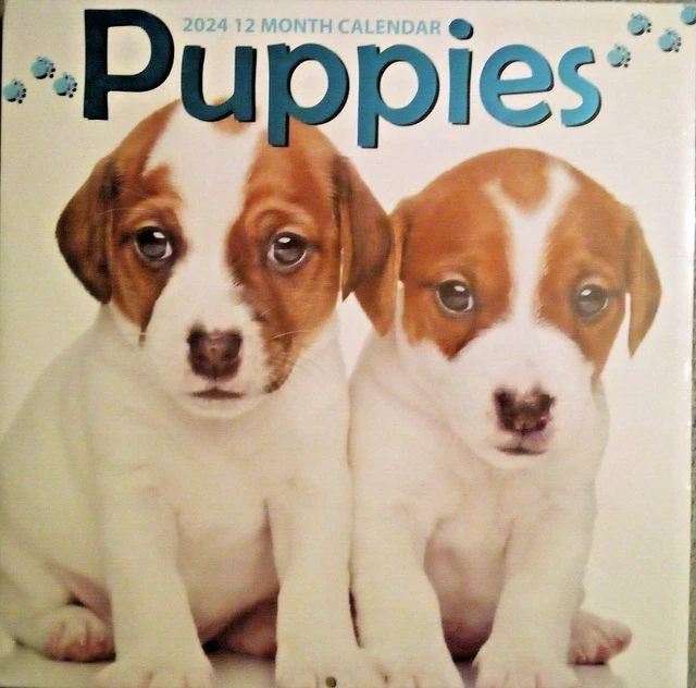 2024 PUPPIES PUPPY Wall Desk 12 Month Calendar Organizer Life Planner