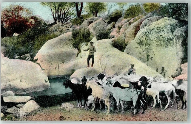 13272787 - Wasserstelle Epako bei Omaruru AK Kolonien Deutsch Suedwestafrika