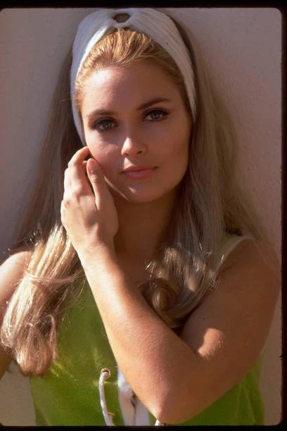 ALEXANDRA BASTEDO AS Sharron Macready In The Champions 1969 TV PHOTO 1 alexandra-bastedo-as-sharron-macready-in-the-champions-1969-tv-photo-1