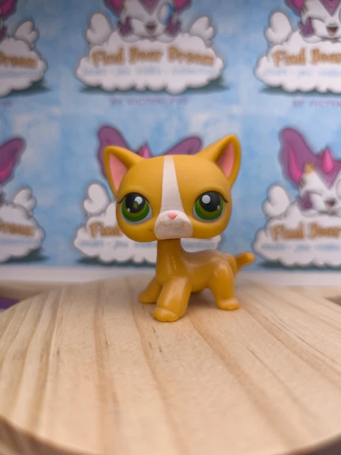 Littlest Pet Shop HASBRO - Chat Européen Rose #933 - Authentique - Occasion - LPS