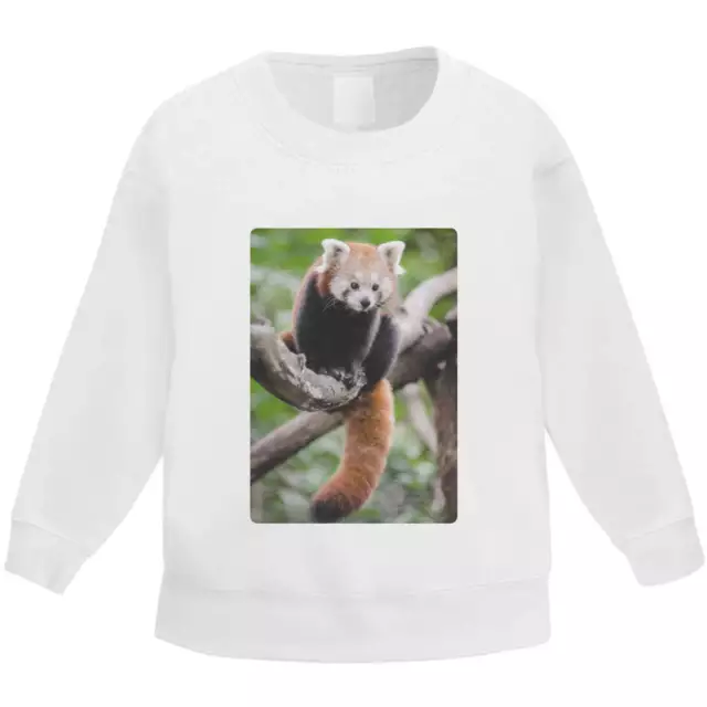 'Roter Panda' Kindersweatshirt / Trui (KW119154)