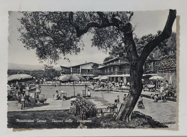 77888 Cartolina - Pistoia - Montecatini Terme piscina delle panteraie - VG 1964