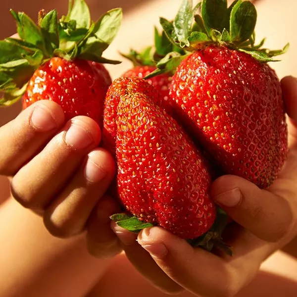 50 Giant Strawberry Seeds - Sweet And Delicious - Garden Fruit Plant