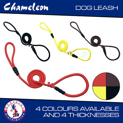 Strong Nylon Slip On Rope Dog Puppy Pet Lead Leash No Collar Needed 1.5m