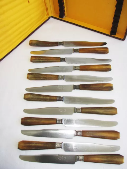 Coffret de 12 couteaux de table en corne Au Zouave 2