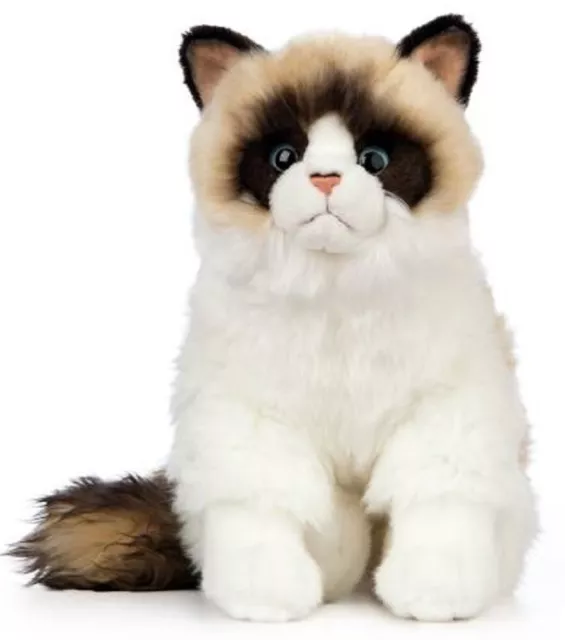 Living Nature Ragdoll Cat 43Cm - An567 Realistic Animal Cuddly Plush Kitten Cute