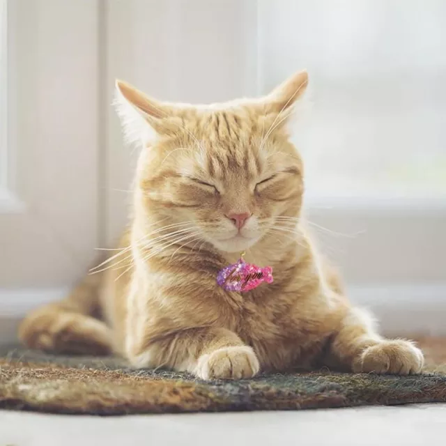 Obtenez des résultats parfaits avec de la colle goutte de cristal pendentif pou