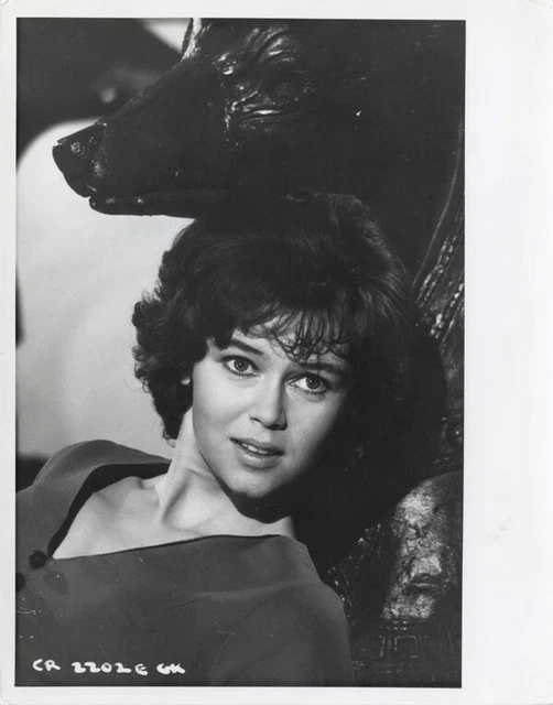 GABRIELLE DRAKE RARE Vintage Glamour Portrait Original 8x10 Photo UFO star £28.27 - PicClick UK