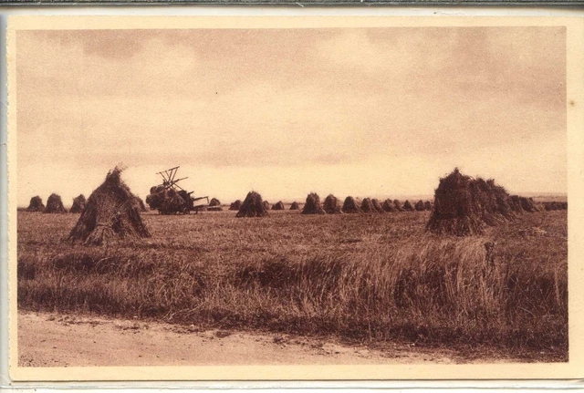 CP 61 Orne - Dans la plaine d'Argentan