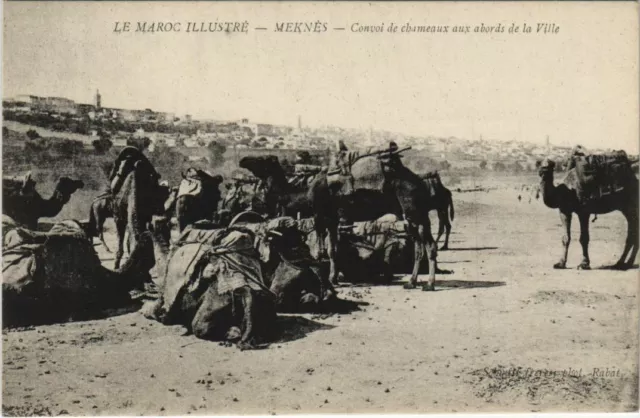 CPA AK MEKNES Convoi de chameaux aux abords de la Ville MAROC (23939)
