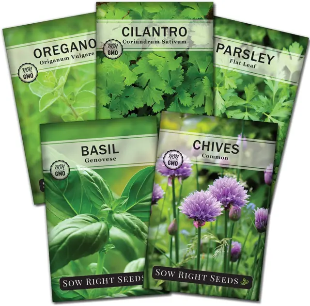 5 Herb Seed Collection - Genovese Basil, Chives,Cilantro,Italian Parsley, & More
