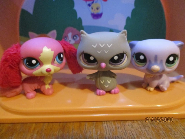 Littlest Pet Shop LPS #2570 Chien Caval King Charles – Hasbro Authentique (occasion)