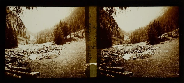 stereo view, Swiss, vallée de Trient, vue stéréoscopique, plaque verre 6X13 cm