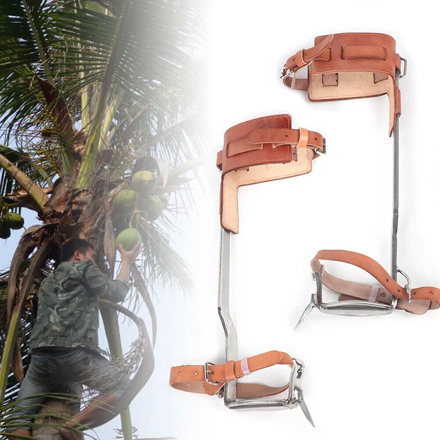Pair Tree Climbing Spike Gaffs Set Gear Safety Tool Stainless Steel Spikes Gaffs