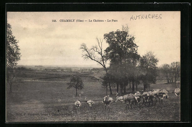 CPA Chambly, Le Chateau, Le Parc