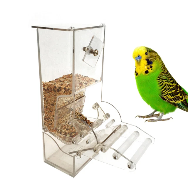 Gallery Detail: Budgie Feeders For Cages Parrot Automatic Pet Feeding Equipment 18