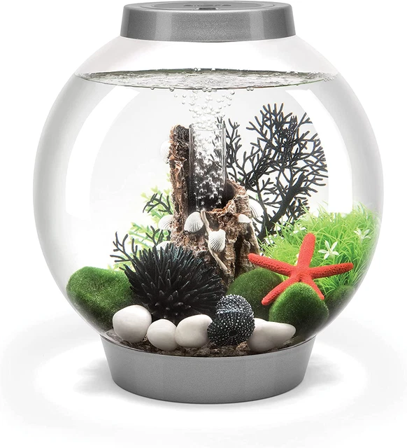 Classic 15 Aquarium with Standard Light - 4 Gallon Silver Lightweight Feature