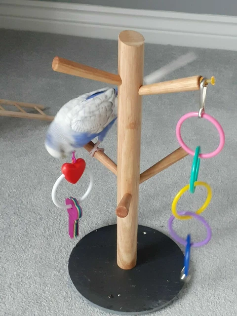 Papagei Vogelkäfig Sitzstangen Ständer Holz Baum Zweig Slate Budgie Hängend Toys