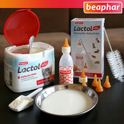Beaphar-Set : Lactol Élevage Set (8-teilig) + 250 G Auzucht-Milch pour Chats