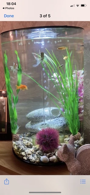 bi orb fish tank