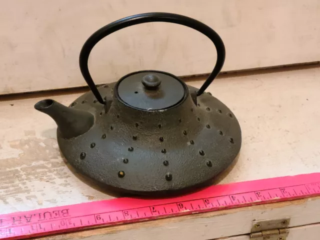 Japanese Style Black Cast Iron Teapot With Strainer /Infuser