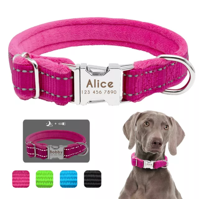 Collare Per Cani Personalizzato DOG Nome Colletto Tag imbottitura Nero Blu S M L