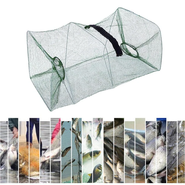 FOLDABLE CARP FISHING Cast Net Crab Trap Fish Mesh Cage Foldable