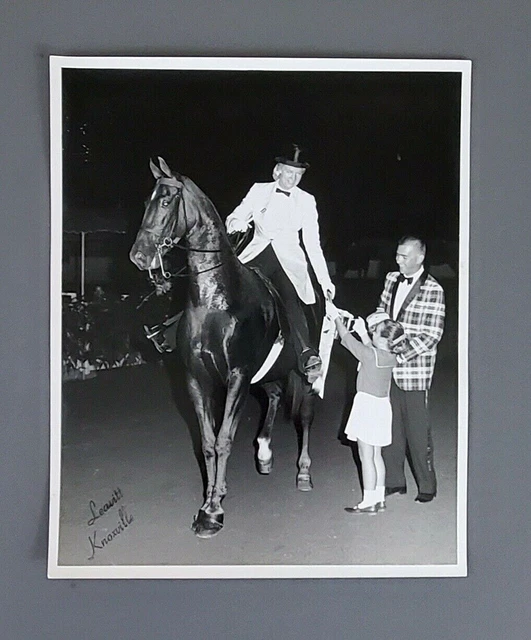 Horse Show Winner Vtg Photo 1950s TN Walking Leavitt Norwood Knoxville Studio