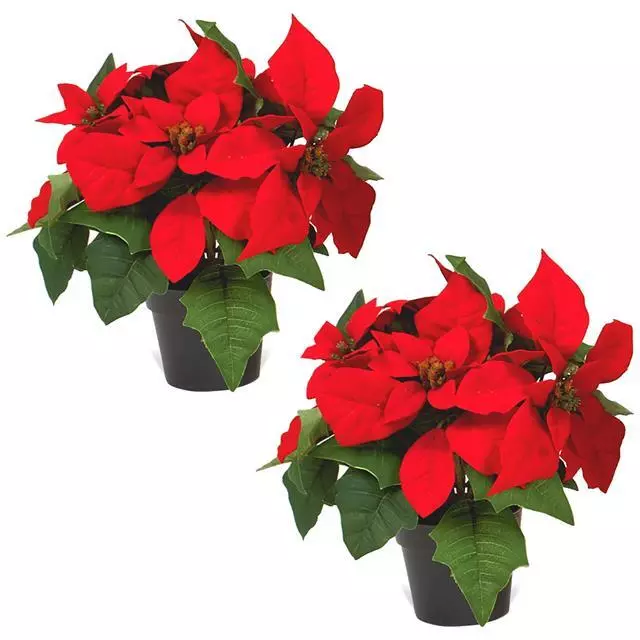 Artificial Potted Poinsettia Plant with Red Flowers - Christmas Table Decoration 3