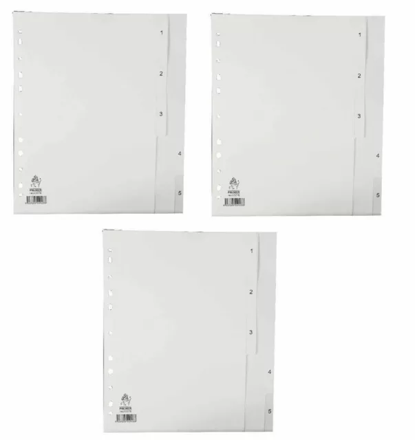 3 Blanco Liso Numerada 5 Parte Separadores Tema A4 1-5 Polipropileno Indice