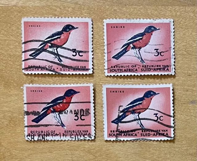 South Africa Stamp Lot Of 4 Shrike Bird Laniarius atrococcinus 1960’s 3c Used