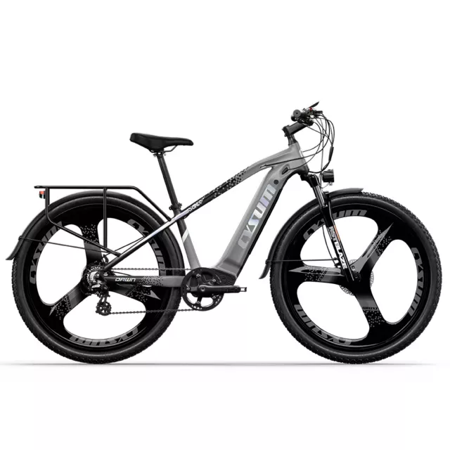 Vélo électrique 29" VTT/Vélo de ville homme femme Batterie 36V13Ah E-bike