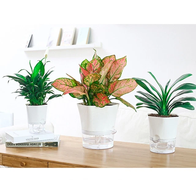 Transparent Self-Watering Plant Flower Plastic Pot  Planter Home Garden Decor