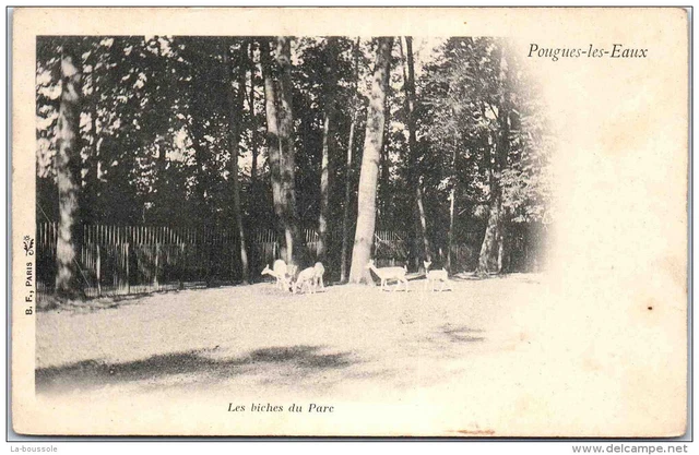 58 POUGUES LES EAUX - the deer of the park