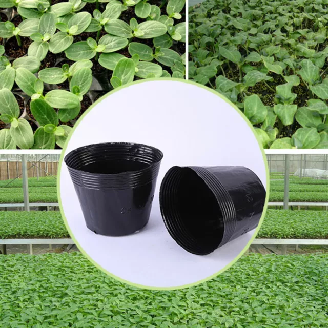 Pots De Nutrition Pour Plantes De Jardin En Plastique 100 Pièces Pot De F