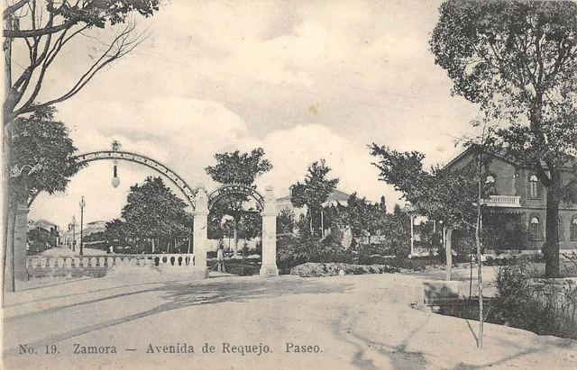 CPA ESPAGNE ZAMORA Avenida De Requejo Paseo EUR 3,80 PicClick FR