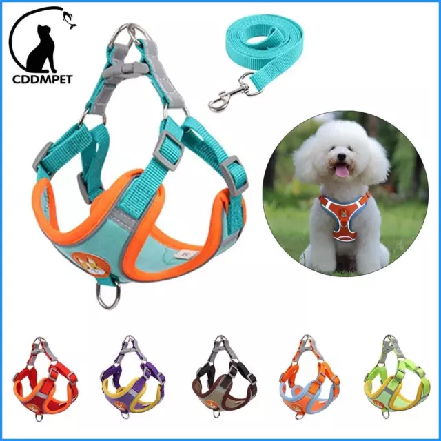 No Pull Pet Dog Harness and Leash Set Adjustable Puppy Cat Harness Vest Walking